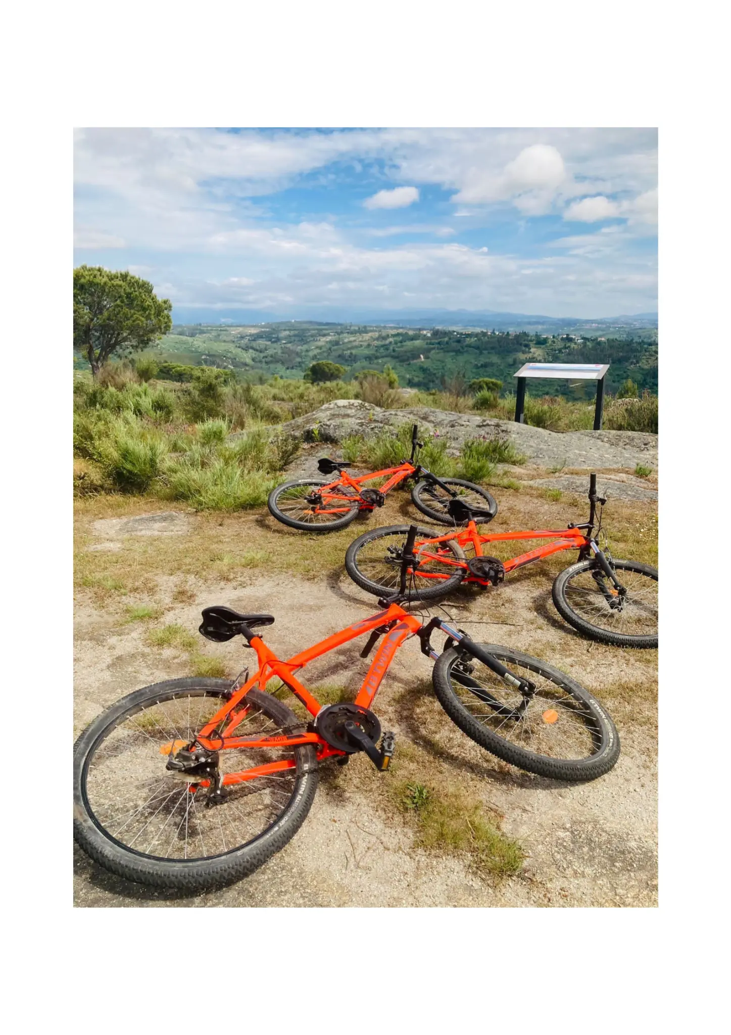 Mountain bikes resting at a hilltop viewpoint over the Central Portugal landscape